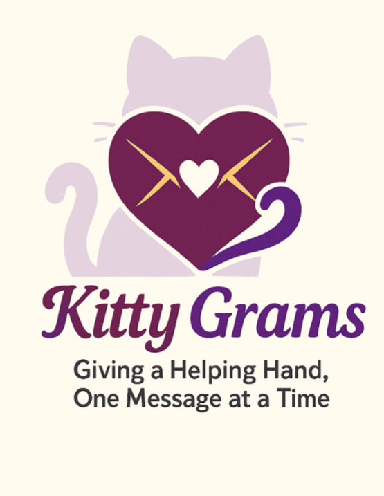 🌐 Virtual Video Gram